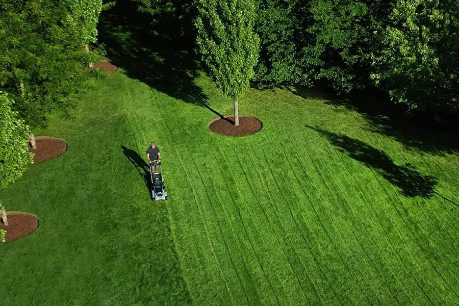 small electric lawn mowers