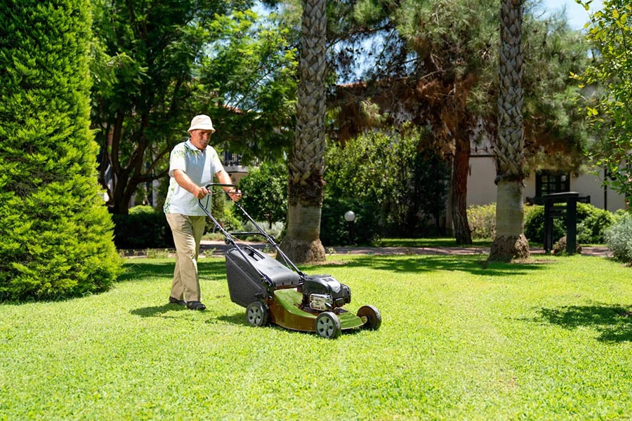 small electric lawn mowers
